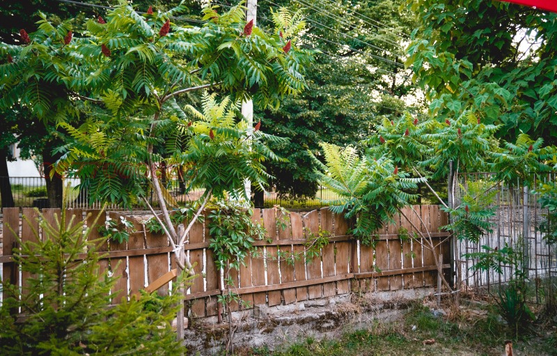 Продава ЗАВЕДЕНИЕ, с. Жиленци, област Кюстендил, снимка 13 - Заведения - 52852159