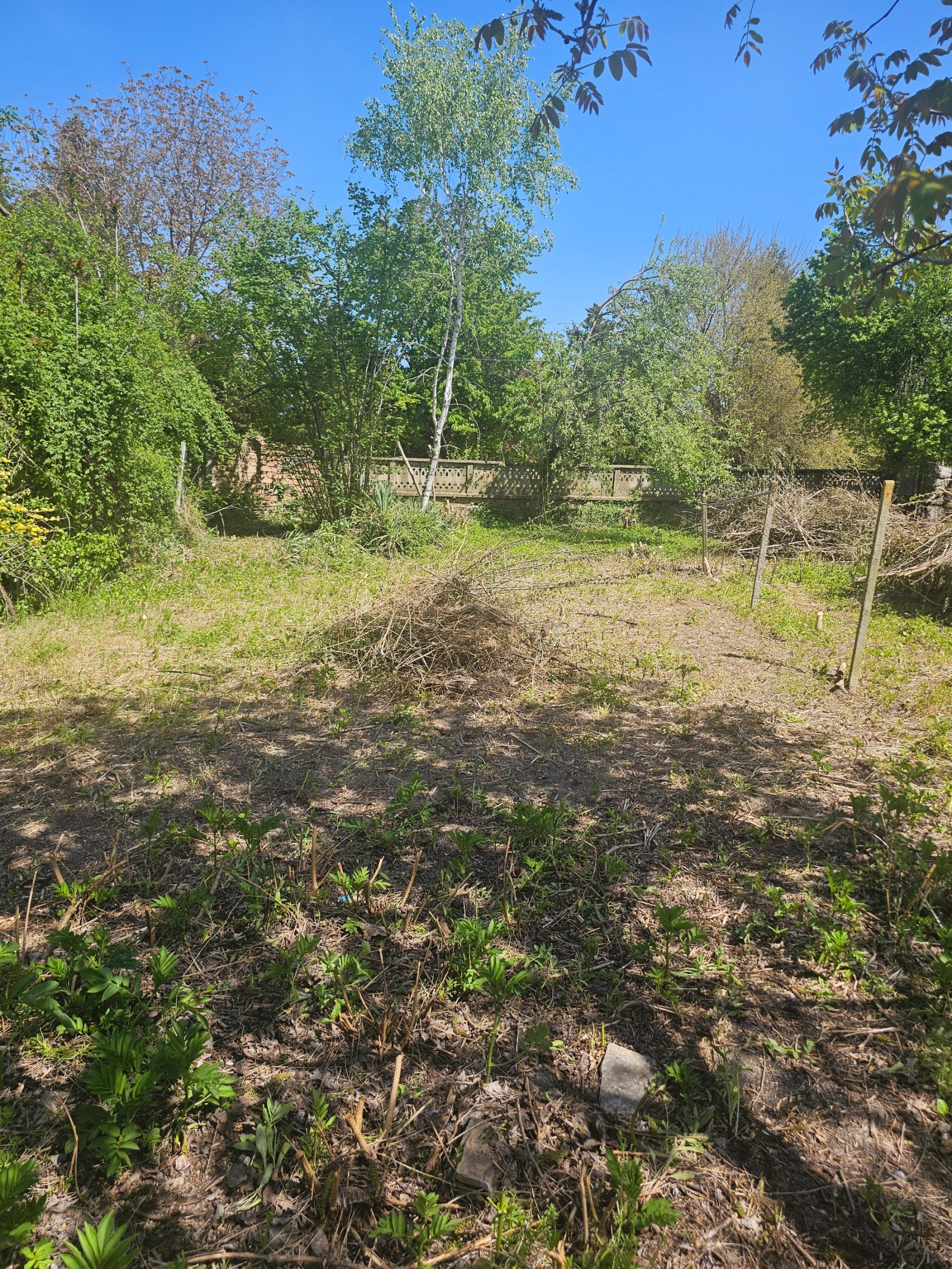 Продава ПАРЦЕЛ, с. Ресен, област Велико Търново, снимка 2 - Парцели - 54365351