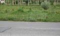 Продава ПАРЦЕЛ, гр. Трявна, област Габрово, снимка 2