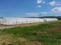 Продава ЗЕМЕДЕЛСКА ЗЕМЯ, с. Руец, област Търговище, снимка 8