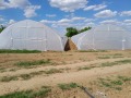 Продава ЗЕМЕДЕЛСКА ЗЕМЯ, с. Руец, област Търговище, снимка 11