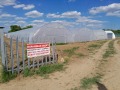 Продава ЗЕМЕДЕЛСКА ЗЕМЯ, с. Руец, област Търговище, снимка 10
