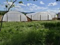 Продава ЗЕМЕДЕЛСКА ЗЕМЯ, с. Руец, област Търговище, снимка 6