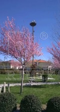 Продава КЪЩА, област Пловдив, с. Радиново • 288000 € • 11372731 — Holmes.bg