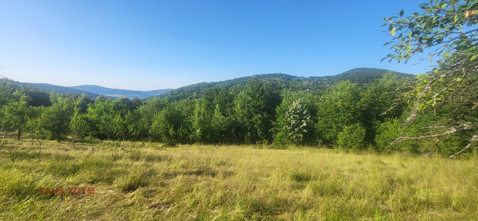 Продава ПАРЦЕЛ | Imot.bg — изображение 3