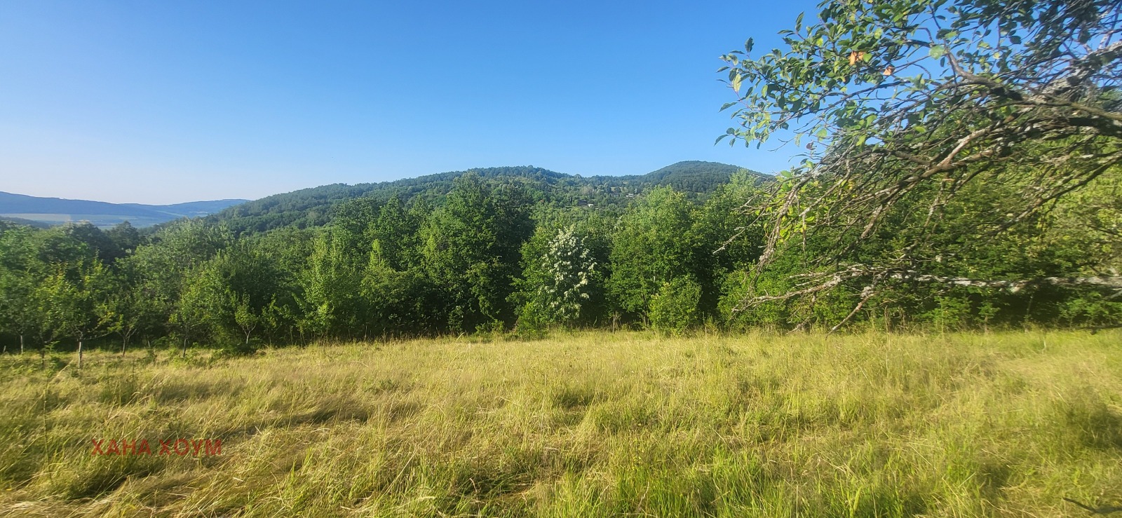 Продава ПАРЦЕЛ, с. Белиш, област Ловеч, снимка 2 - Парцели - 50798561
