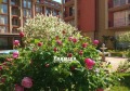 Продава 1-СТАЕН, област Бургас, к.к. Слънчев бряг • 38000 € • 40308260 — Holmes.bg