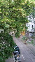 Продава 2-СТАЕН, град София, Докторски паметник • 345000 € / 674761.35 лв. • 40771436 2
