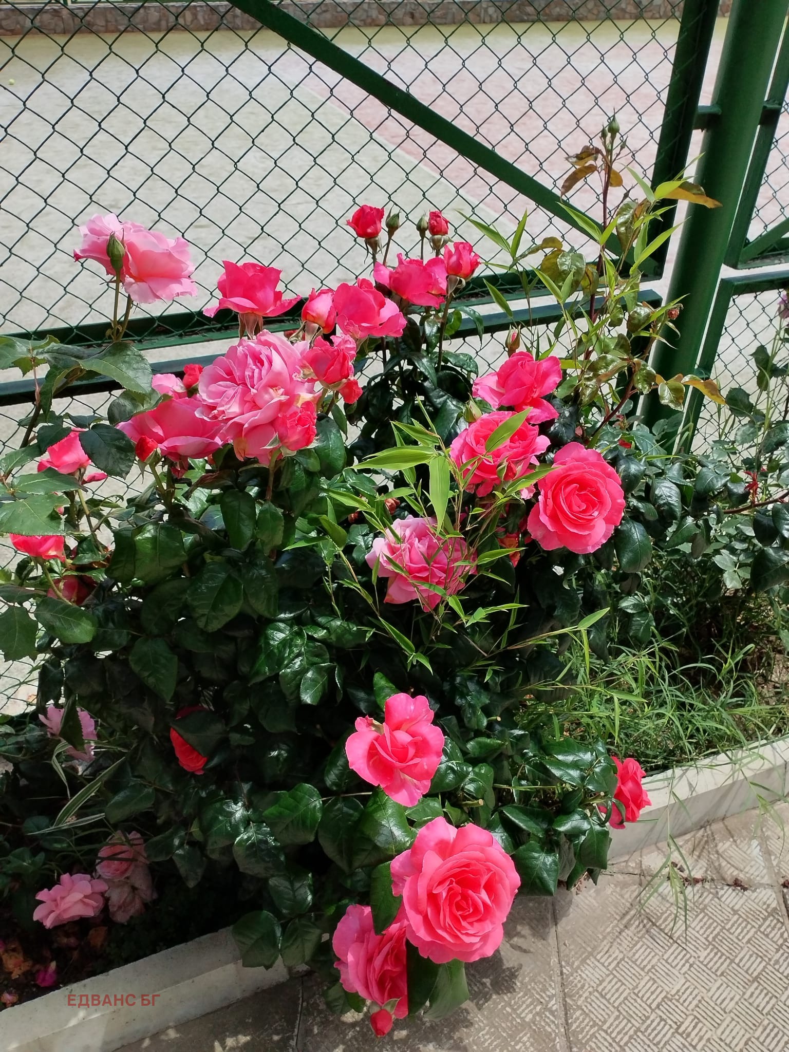 ������� 2-����� | Imot.bg � ����������� 10