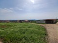 Продава ПАРЦЕЛ, с. Драгижево, област Велико Търново, снимка 1