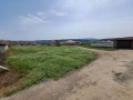 Продава ПАРЦЕЛ, област Велико Търново, с. Драгижево • 34300 € / 67084.97 лв. • 73880731 3