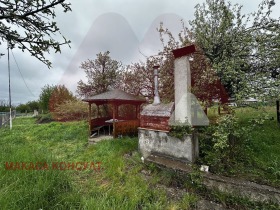 ����� ������� ����,�. �����, ������ �����>