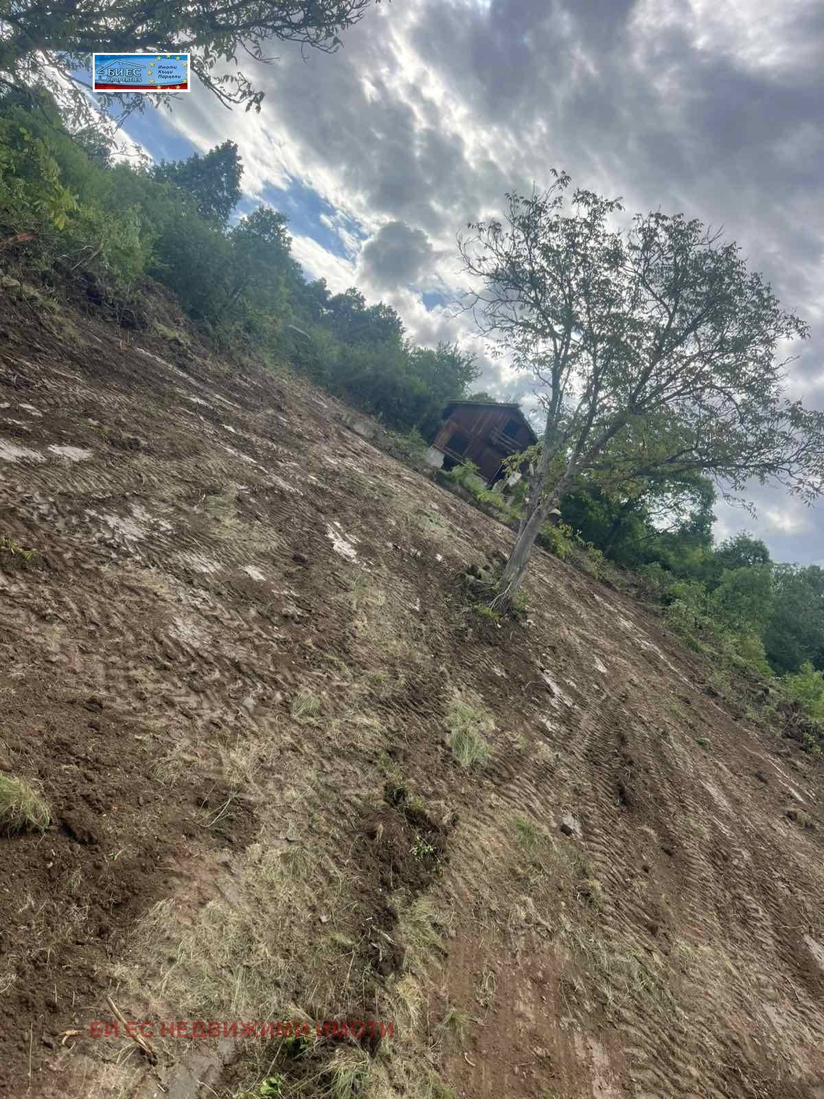 ������� ���� | Imot.bg � ����������� 12