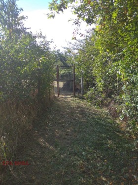������� ������ | Imot.bg � ����� ������ 5