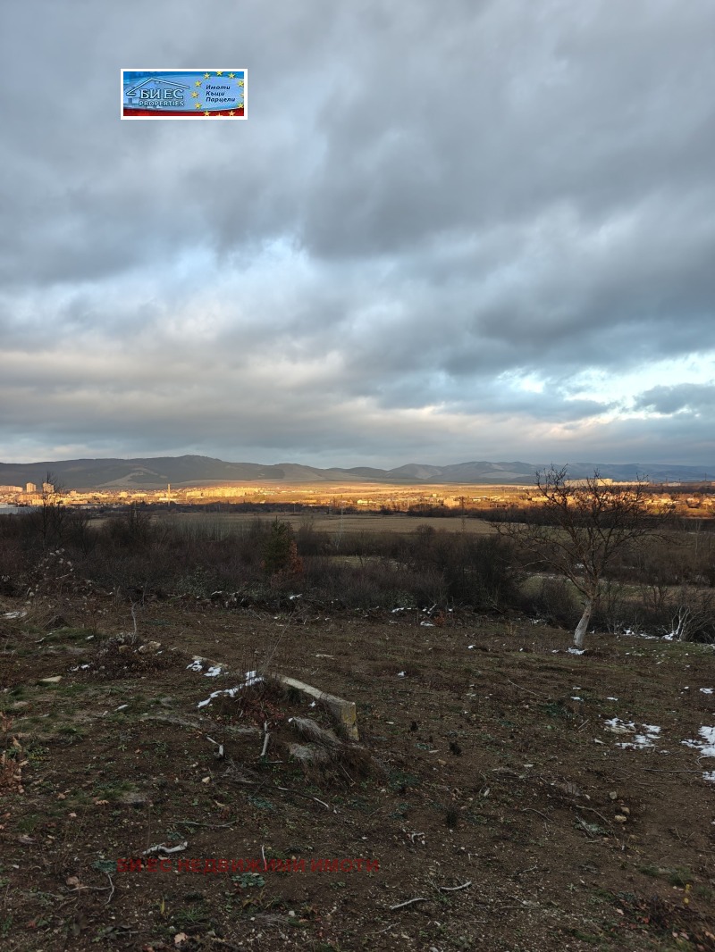 Продава КЪЩА, с. Борнарево, област Перник, снимка 5 - Къщи - 52922620