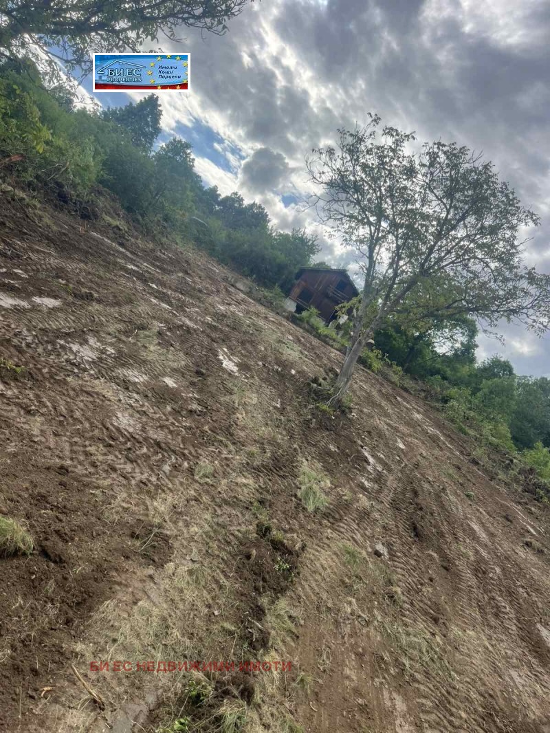 Продава КЪЩА, с. Борнарево, област Перник, снимка 11 - Къщи - 52922620