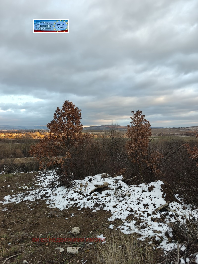 Продава КЪЩА, с. Борнарево, област Перник, снимка 4 - Къщи - 52922620