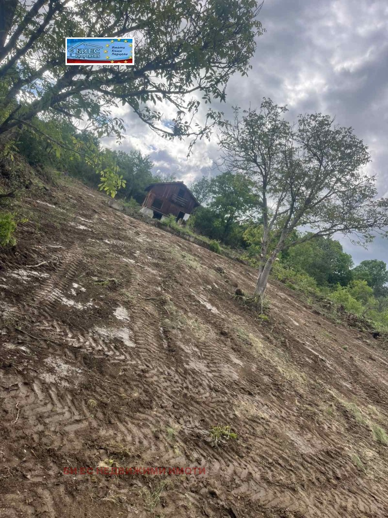 Продава КЪЩА, с. Борнарево, област Перник, снимка 8 - Къщи - 52922620