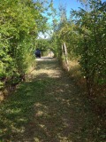 Продава ПАРЦЕЛ, гр. Варна, м-т Кочмар, снимка 8