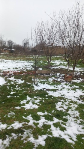 ������� ���� | Imot.bg � ����� ������ 8