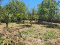 Продава ПАРЦЕЛ, област София, с. Разлив • 52000 € • 64802636 — Holmes.bg