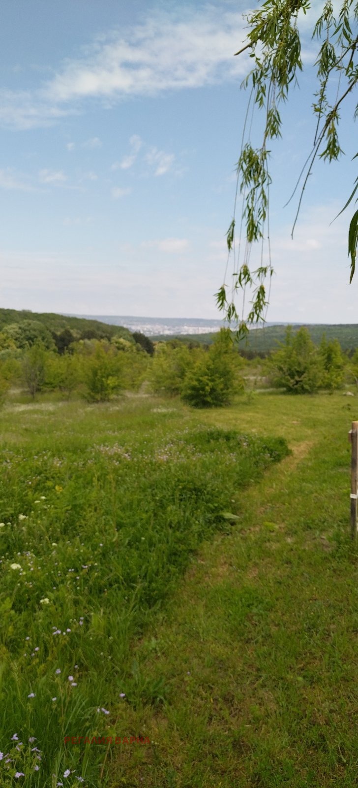 ������� ������ | Imot.bg � ����������� 3