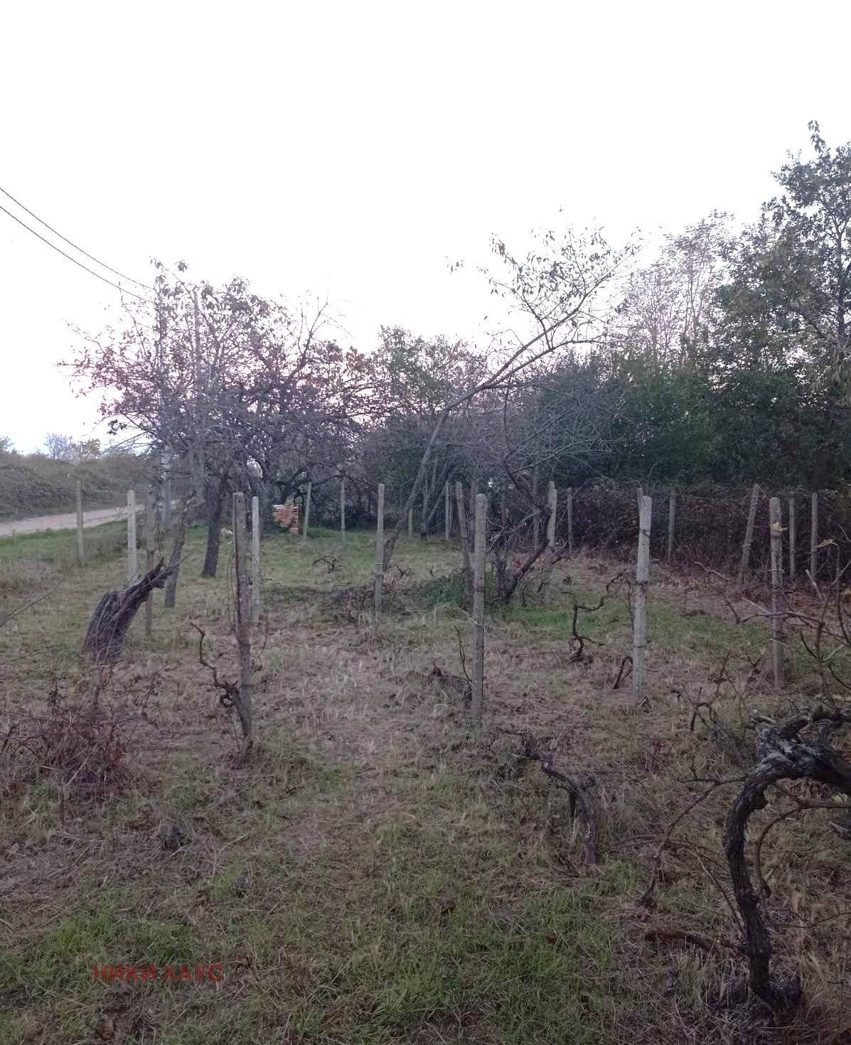 Продава ПАРЦЕЛ | Imot.bg — изображение 11