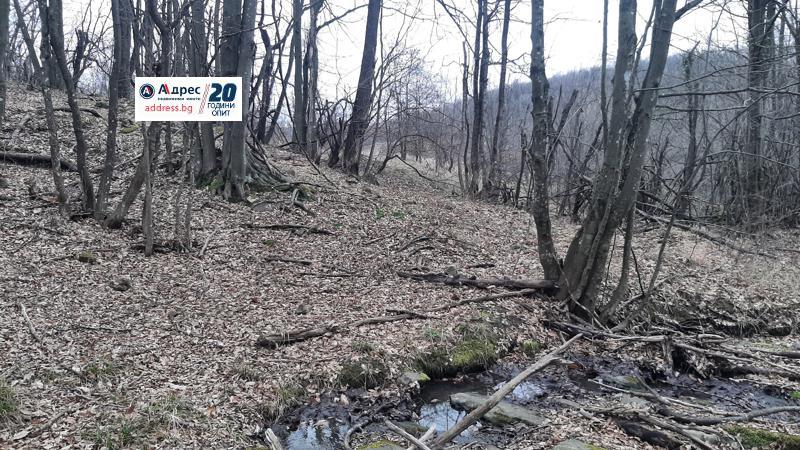Продава  Къща област Велико Търново , гр. Елена , 76 кв.м | 87903937 - изображение [17]