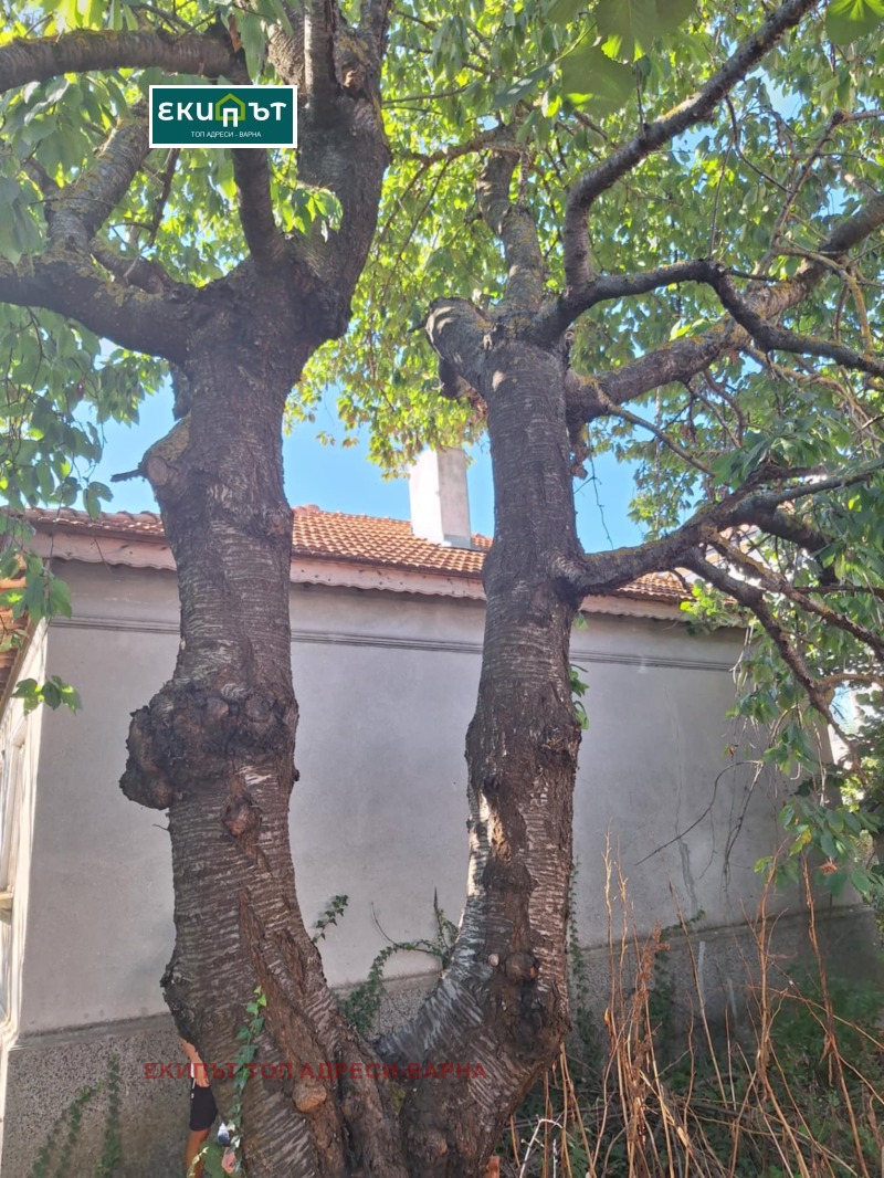 Satılık  Ev bölge Dobriç , Kavarna , 75 metrekare | 46364246 - görüntü [4]