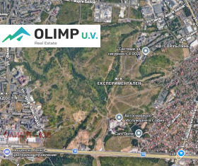 ������ ������� ������