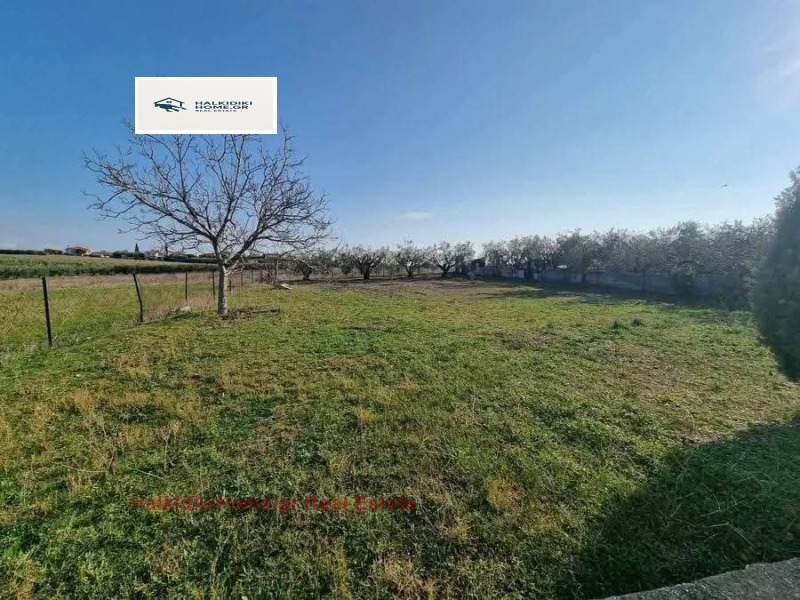 Продава КЪЩА, Извън страната, област Извън страната, снимка 6 - Къщи - 52482582