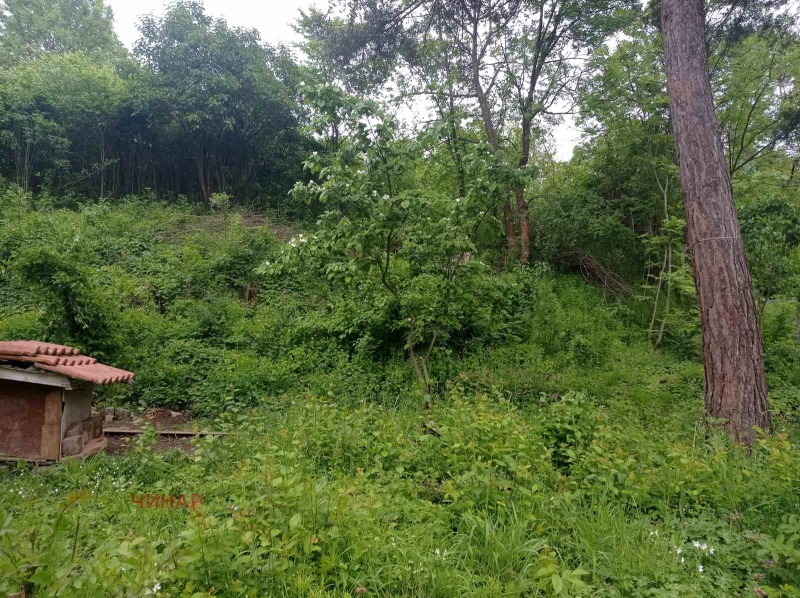 Продава ПАРЦЕЛ в град София, гр. Банкя - 937 кв.м / 120 000 € » 234 699.60 лв., ЧИНАР