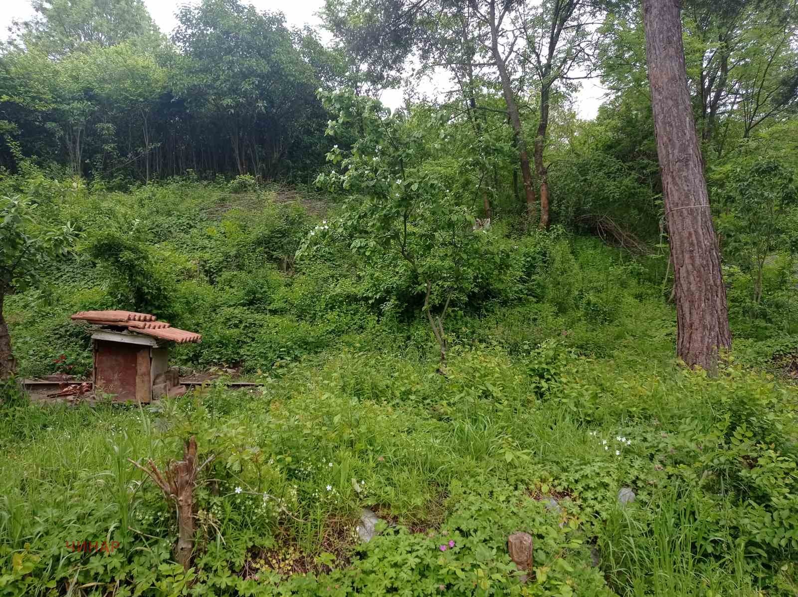 ������� ������ | Imot.bg � ����������� 3