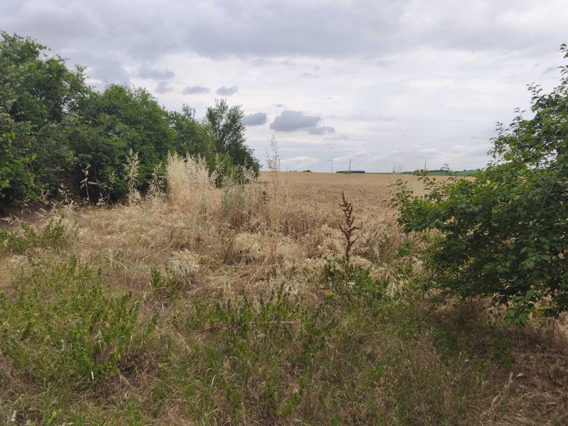 Zu verkaufen  Haus region Dobritsch , Geschanowo , 140 qm | 28727426 - Bild [9]