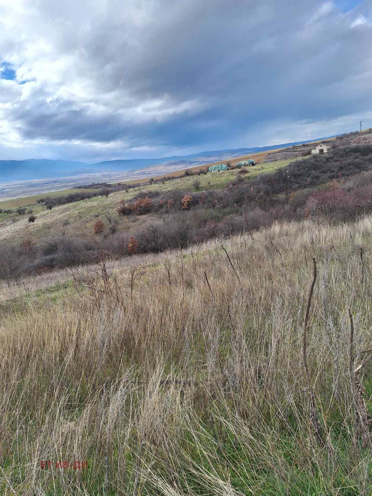 Продава ПАРЦЕЛ, с. Горна Василица, област София област, снимка 4 - Парцели - 53891599