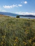 Продава ПАРЦЕЛ, област Пазарджик, яз. Батак • 58000 € • 25291839 — Holmes.bg