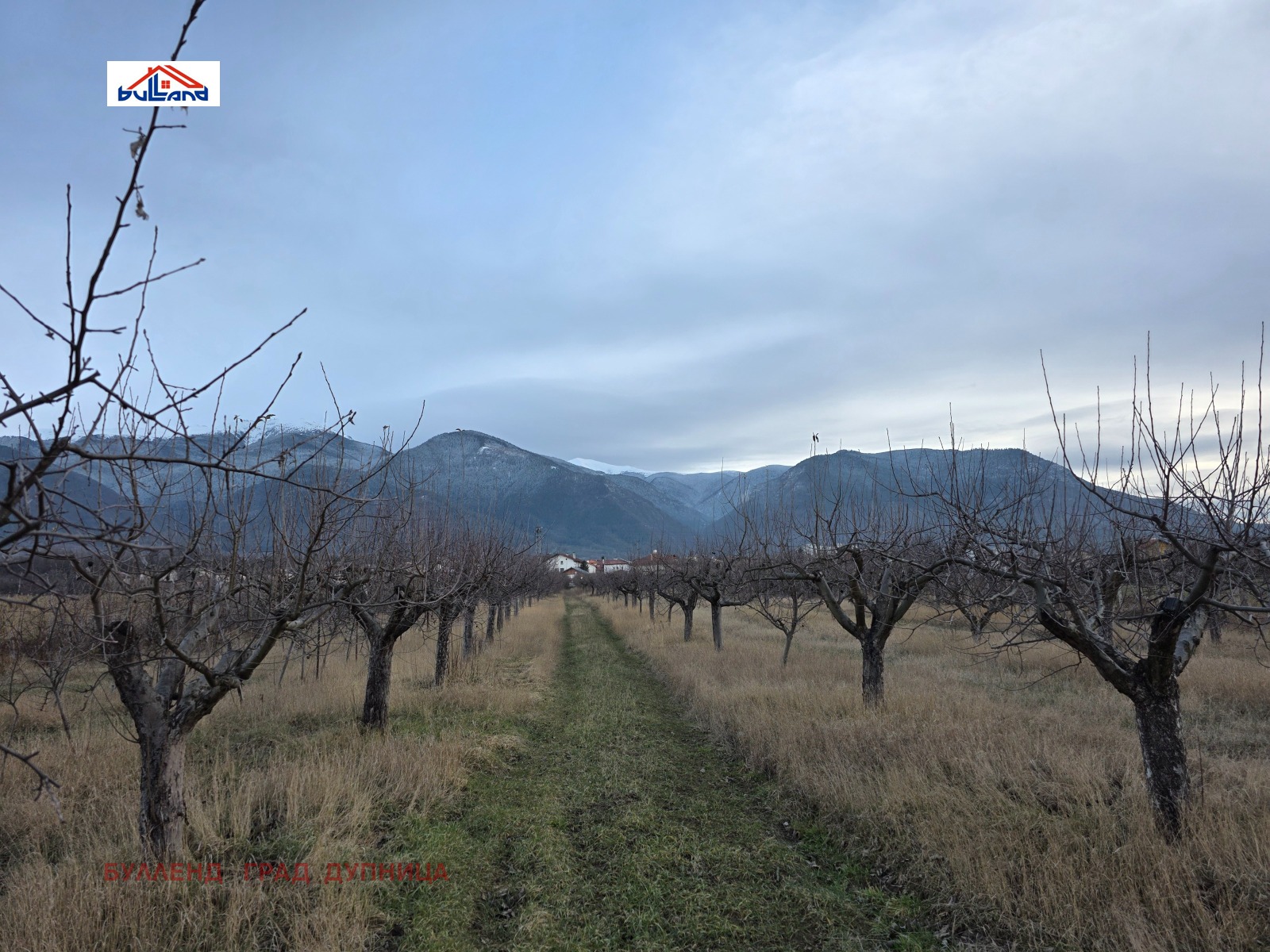 ������� ������ | Imot.bg � ����������� 1