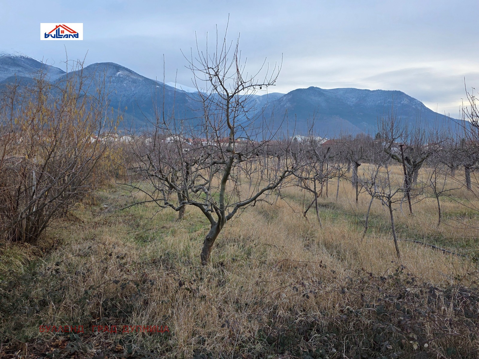 ������� ������ | Imot.bg � ����������� 8