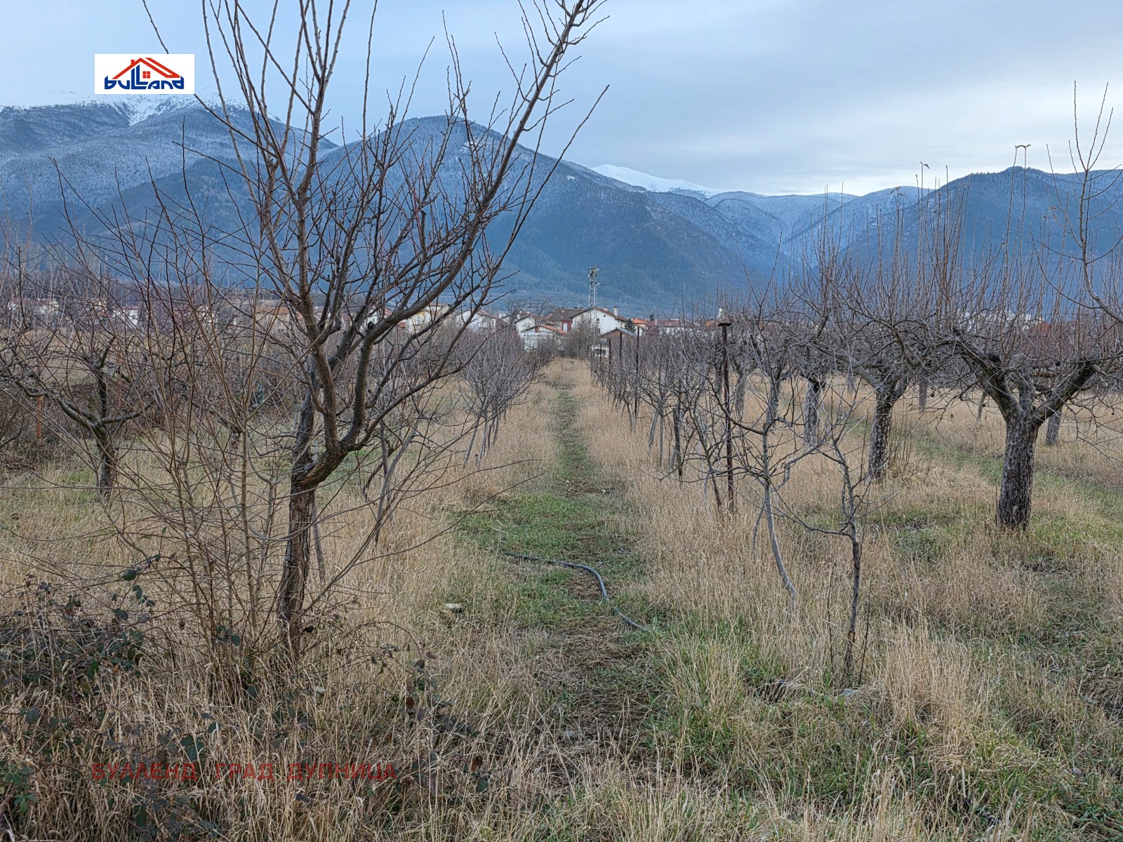 ������� ������ | Imot.bg � ����������� 6