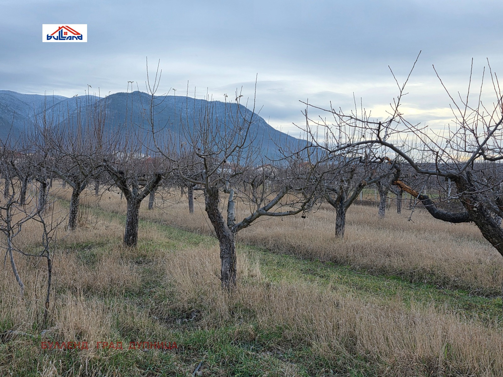 ������� ������ | Imot.bg � ����������� 7