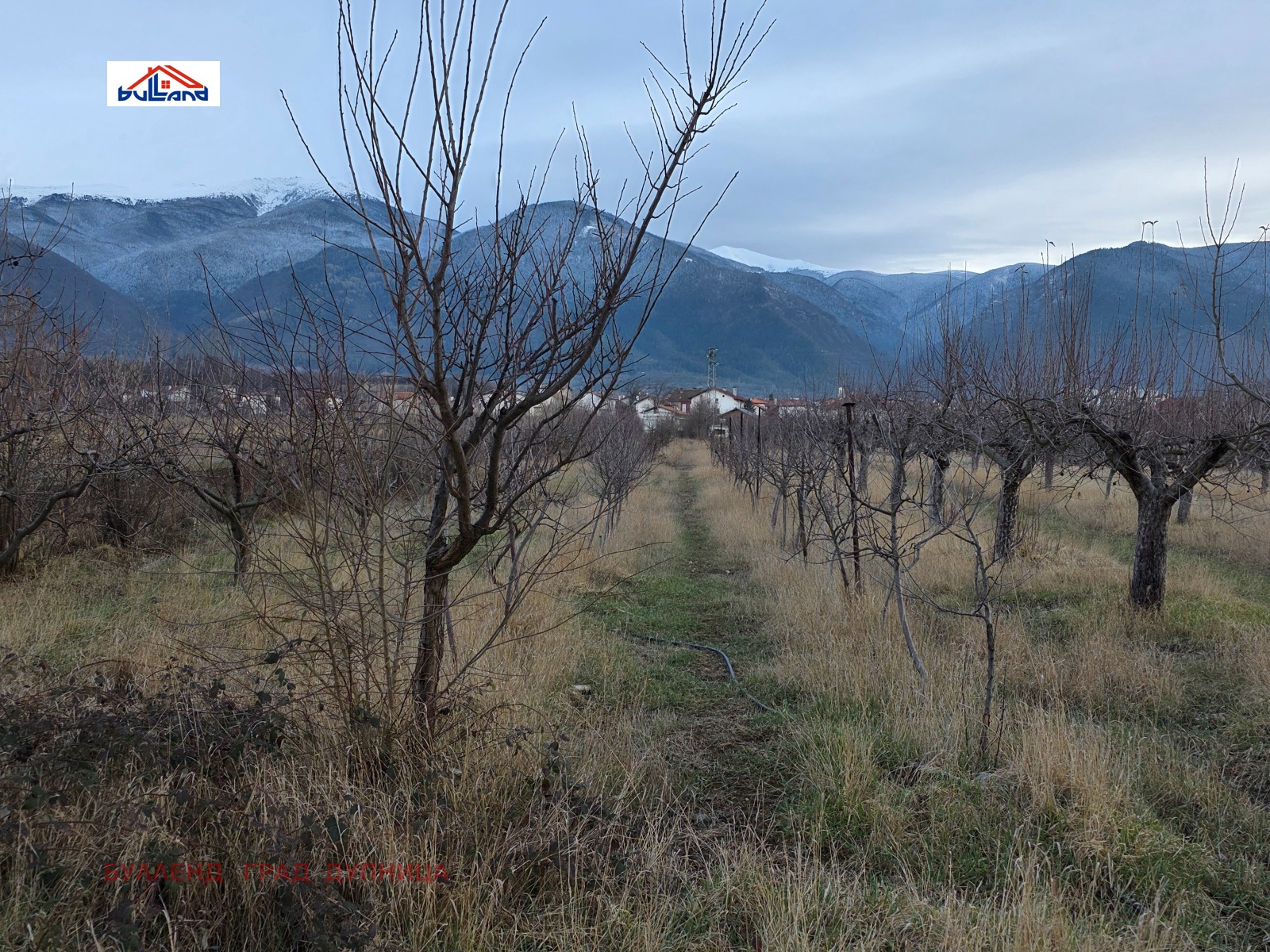 ������� ������ | Imot.bg � ����������� 5