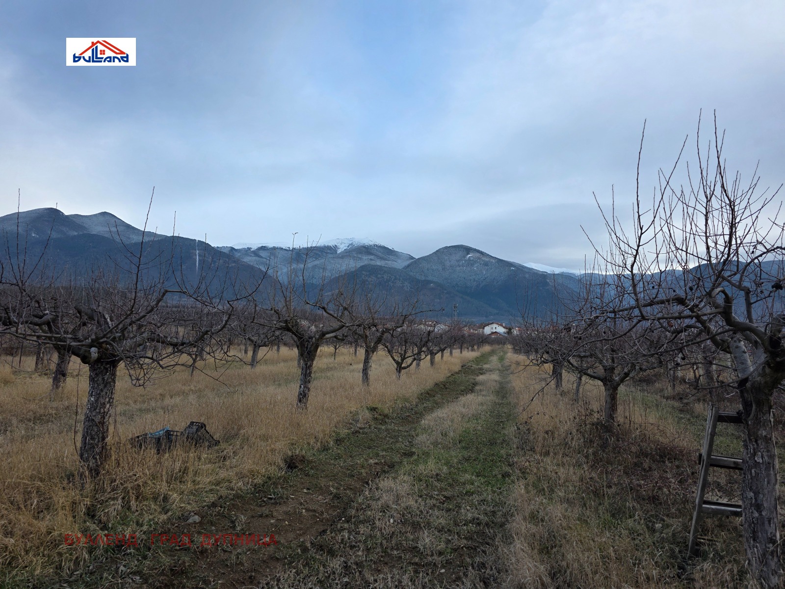 ������� ������ | Imot.bg � ����������� 9