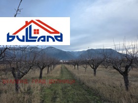 ����� ������� ������,�. ����������, ������ ���������