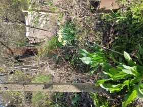 ������� ������ | Imot.bg � ����� ������ 5