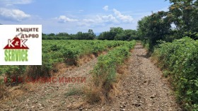 ������� ���������� ���� | Imot.bg � ����� ������ 3