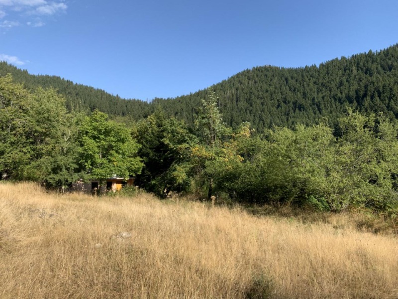 Na prodej  Vila Smoljan , v.z. Smoljan , 64 m2 | 43861827 - obraz [2]
