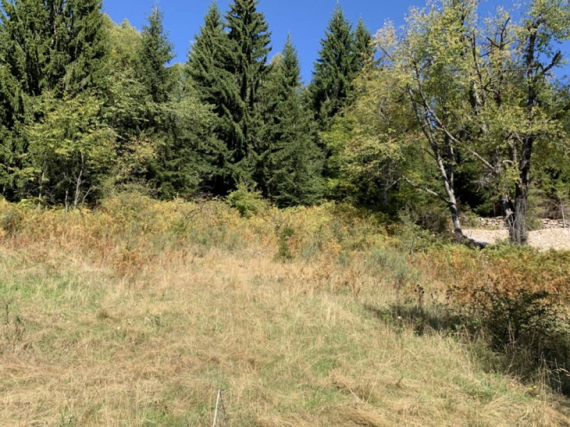 Na prodej  Vila Smoljan , v.z. Smoljan , 64 m2 | 43861827 - obraz [6]