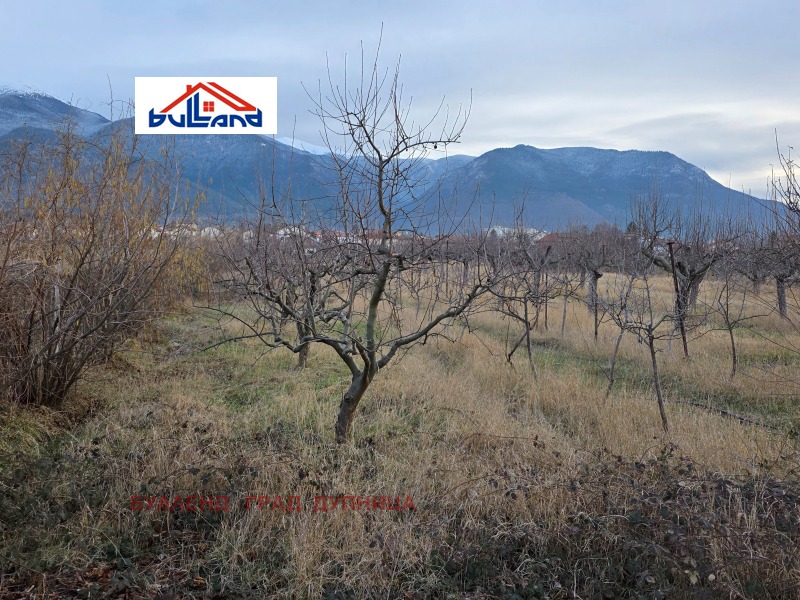 Продава ПАРЦЕЛ, с. Самораново, област Кюстендил, снимка 8 - Парцели - 53269594