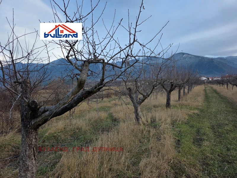 Продава ПАРЦЕЛ, с. Самораново, област Кюстендил, снимка 3 - Парцели - 53269594