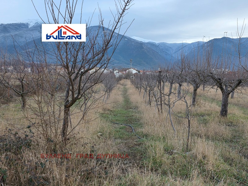 Продава ПАРЦЕЛ, с. Самораново, област Кюстендил, снимка 6 - Парцели - 53269594